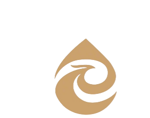 厦门罗尔科技有限公司